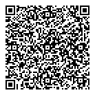A1 Nova Electric QR Card